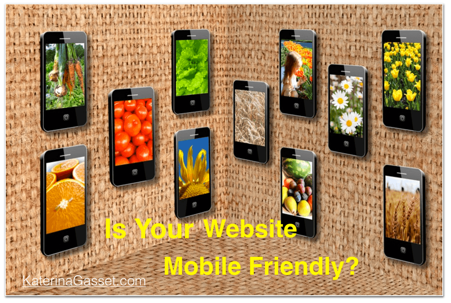 is your site mobile friendly call us today to get your website designed 