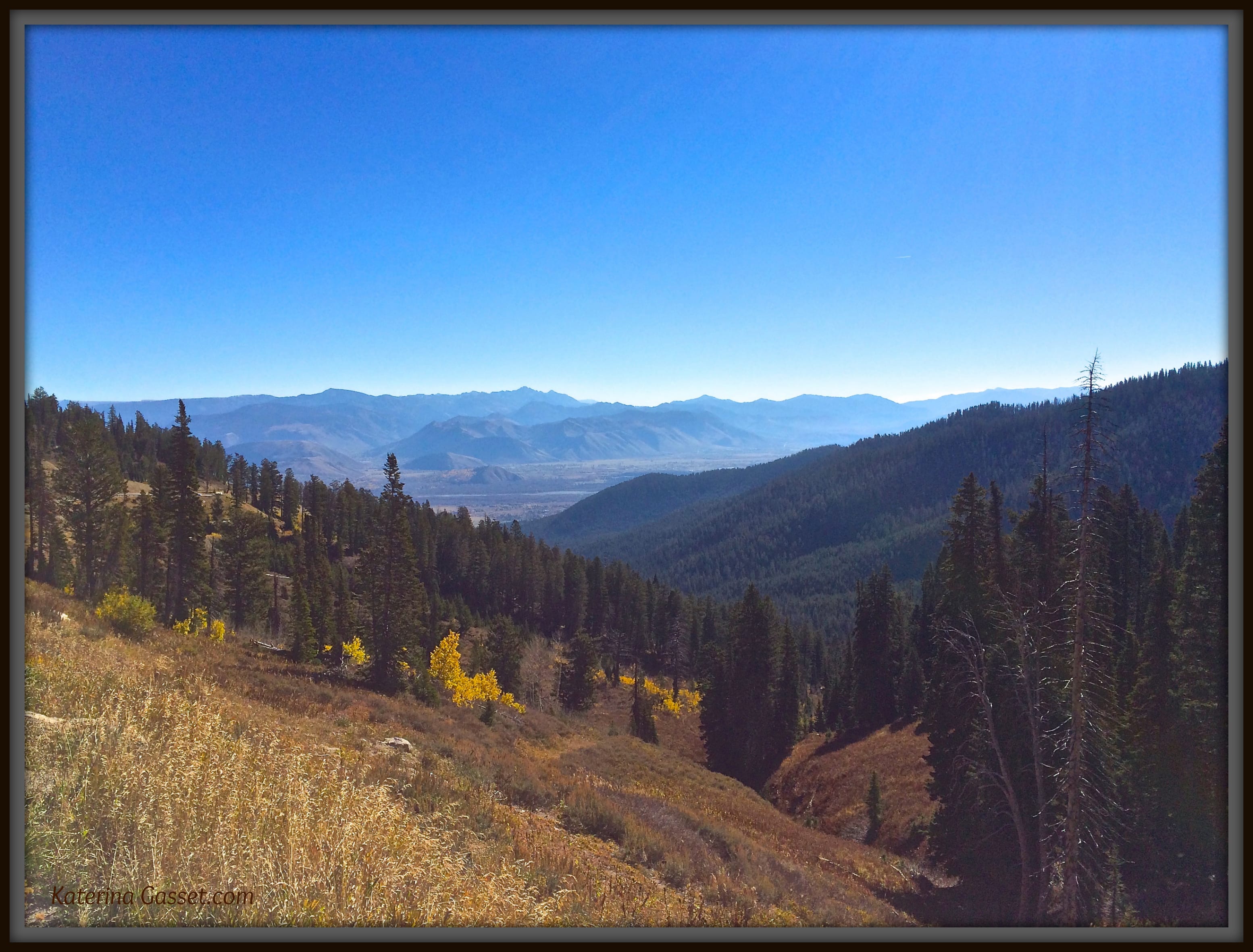 Jackson Hole Wyoming Vista by Katerina Gasset 